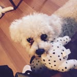 Jane MacLean - @mrdickensmom - Instagram