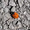 Jane.maclean - @jane.maclean - TikTok