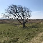 Jane MacMillan - @paisleytrailrunner - Instagram