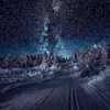 janetmacneill - @janetmacneill - TikTok