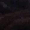 sarah jane macneil - @sarah.jane.macnei - TikTok
