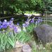 Jane Macomber - Facebook