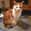 Janet Macphee - @janetmacphee7 - TikTok
