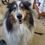 Jane Macpherson - @j.macca48 - Instagram