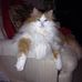 Jane Macqueen - Facebook