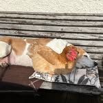 Jane MacQueen - @jane.macqueen - Instagram