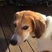 Jane MacQueen - Facebook