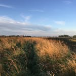 Jane Major - @janemaj - Instagram