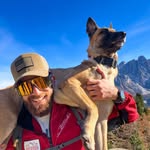 Jane Belgian Sheppard Malinois - @janethemalin - Instagram