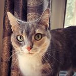 Miss Jane O'Malley - @miss_janeomalley - Instagram