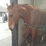 jane - @janemalpass41 - Instagram