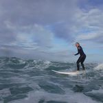 Janet Malpass - @limestonemonkey - Instagram
