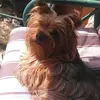 Jane Manley - @janemanley0 - TikTok