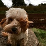 Jane manners - @jane.manners - Instagram