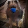 Jane Mansell - @janemansell8 - TikTok