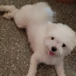 Jane Mao - @wan.grass - Instagram