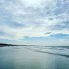 jane - @janemmarchand - TikTok