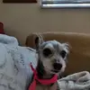 crystaljanemarcuccio - @crystaljanemarcuccio - TikTok
