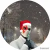 Jan|MS - @jandiel.marcucci - TikTok