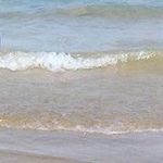 Brenden Jane Marcum - @brendenjanemarcum - Instagram