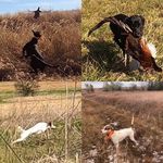 Jane C Marcum - @windward67 - Instagram