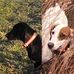 Jane C Marcum - Facebook