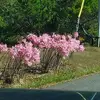 janellmarcum - @janellmarcum - TikTok
