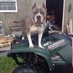 Mary Jane Marcum - @maryjane.marcum - Instagram