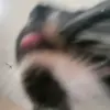 janemaria - @janemaria1999 - TikTok