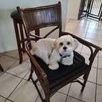 Jane Marinello - @marinello.jane - Instagram