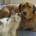 Jane Marks - Facebook