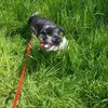Jane Marks - @jane.marks5 - TikTok