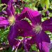 Jane Marlow - Facebook