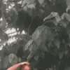 janemarymartino - @janemarymartino - TikTok