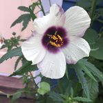 Jane Marvin - @passive_aggressive_here - Instagram