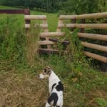 Jane Masters - @davinajane.61 - Instagram