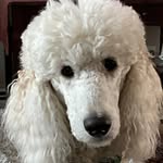 Jane Matheson - @maynos.51 - Instagram