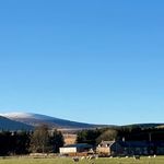 Jane Matheson - @mrsmathy - Instagram