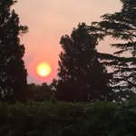 Jane - @jane_mayne_ - Instagram