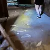 janedoemayne - @janedoemayne - TikTok