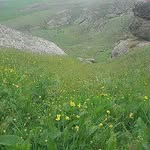 alevandصراف علیوندمیرزاحسنلو - @janem.azarbejan - Instagram