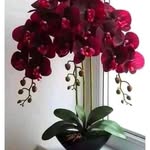 Jane Mbugua - @jane.mbugua.3726613 - Instagram