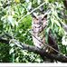 Karen Jane McAfee - Facebook