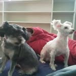 Bethel Jane Mccaig Caraway - @bethelcaraway - Instagram