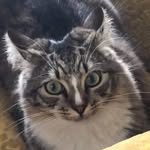 Jane Korn McCaig - @jk260597 - Instagram