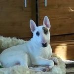 Jane Mccall - @janesprout - Instagram
