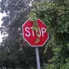 Jane McCall - @jane.x_x.mccall - TikTok