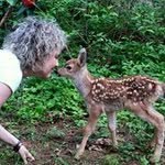 Janice McGuigan - @islandgirl444 - Instagram