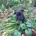 Jane McHale - Facebook