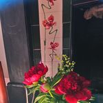 Jane Mchale - @janemchale.67 - Instagram